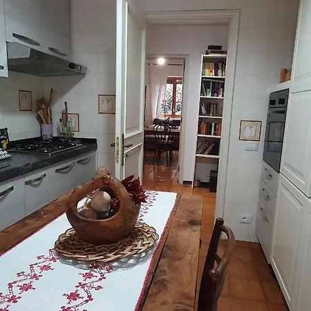 Bookanvillea Trani