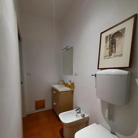 Bookanvillea Trani